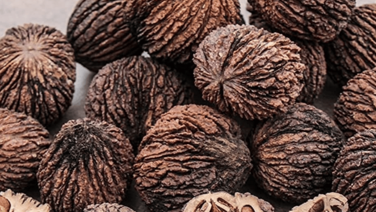 Foto - Şifa deposu olan 'kara ceviz'in faydalarını duyunca çok şaşıracaksınız! Normal cevize göre..