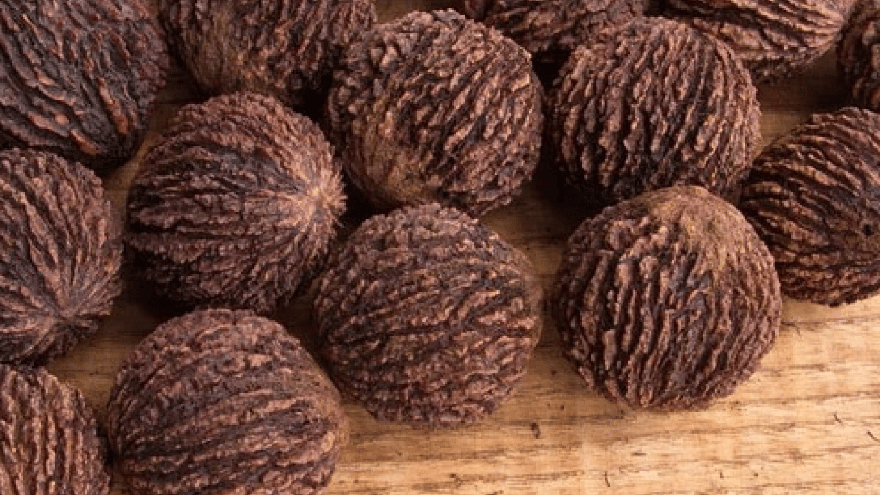 Foto - Şifa deposu olan 'kara ceviz'in faydalarını duyunca çok şaşıracaksınız! Normal cevize göre..