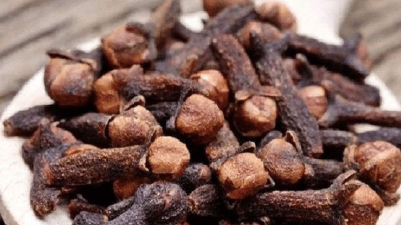 Foto - Şifa deposu: Yatmadan önce karanfil etkisi! Özellikle Ramazan'da; Bakın ne işe yarıyor...