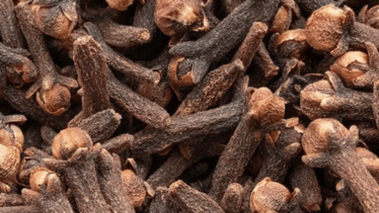 Şifa deposu: Yatmadan önce karanfil etkisi! Özellikle Ramazan'da; Bakın ne işe yarıyor...