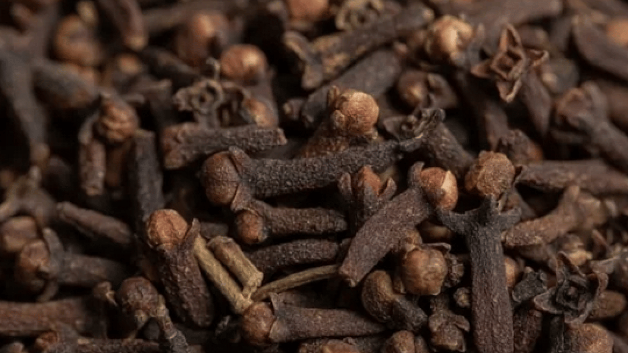 Foto - Şifa deposu: Yatmadan önce karanfil etkisi! Özellikle Ramazan'da; Bakın ne işe yarıyor...