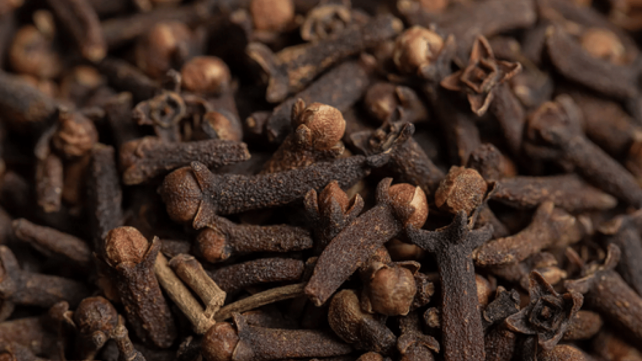 Foto - Şifa deposu: Yatmadan önce karanfil etkisi! Özellikle Ramazan'da; Bakın ne işe yarıyor...