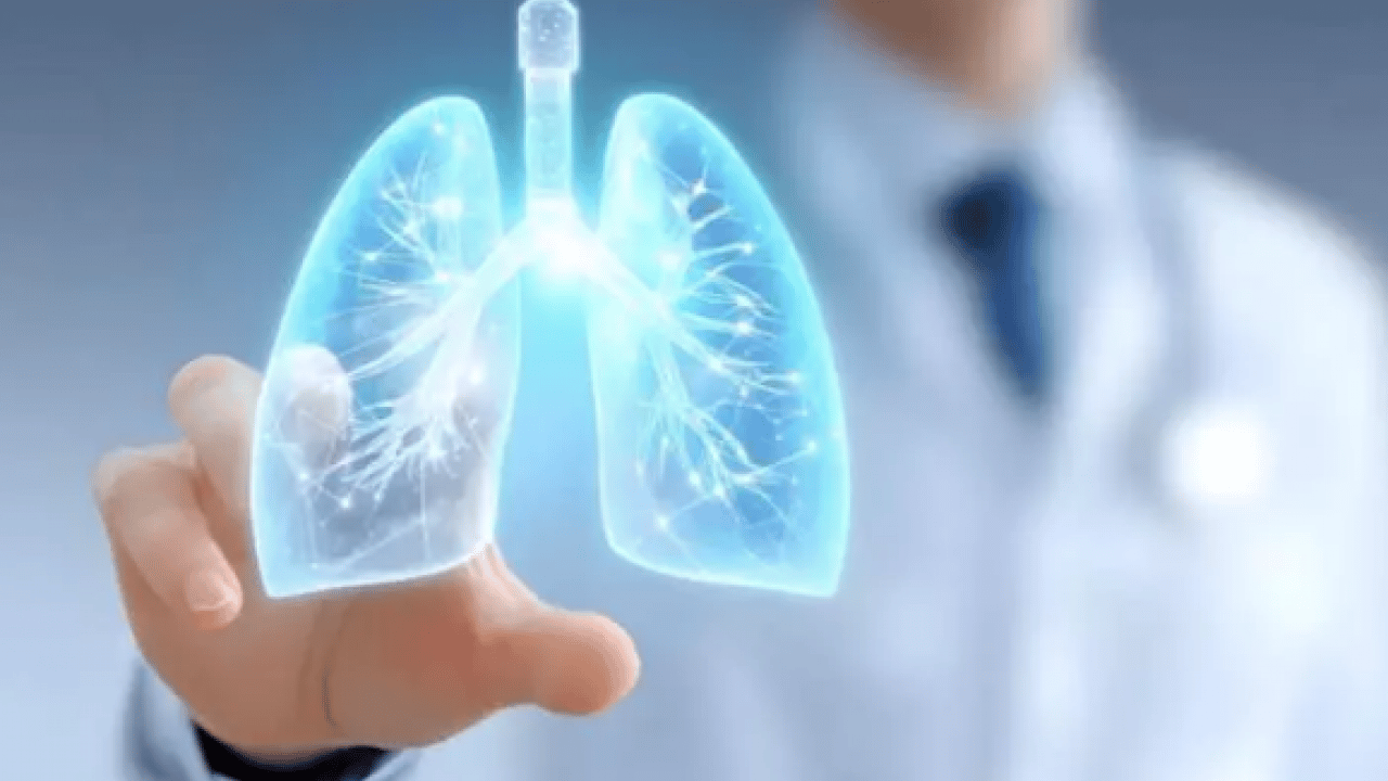 Şifa eczanede değil mutfakta: İşte akciğeri tertemiz yapan 3 besin!