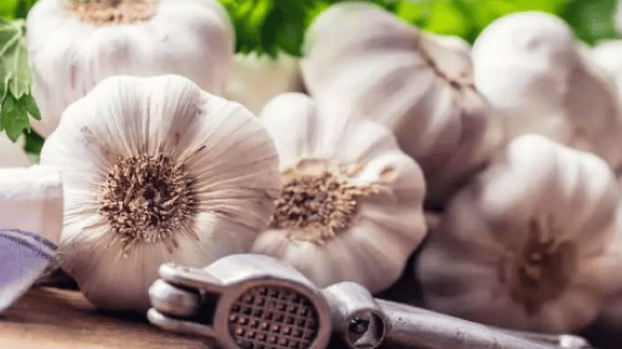 Foto - Şifa eczanede değil mutfakta: İşte akciğeri tertemiz yapan 3 besin!