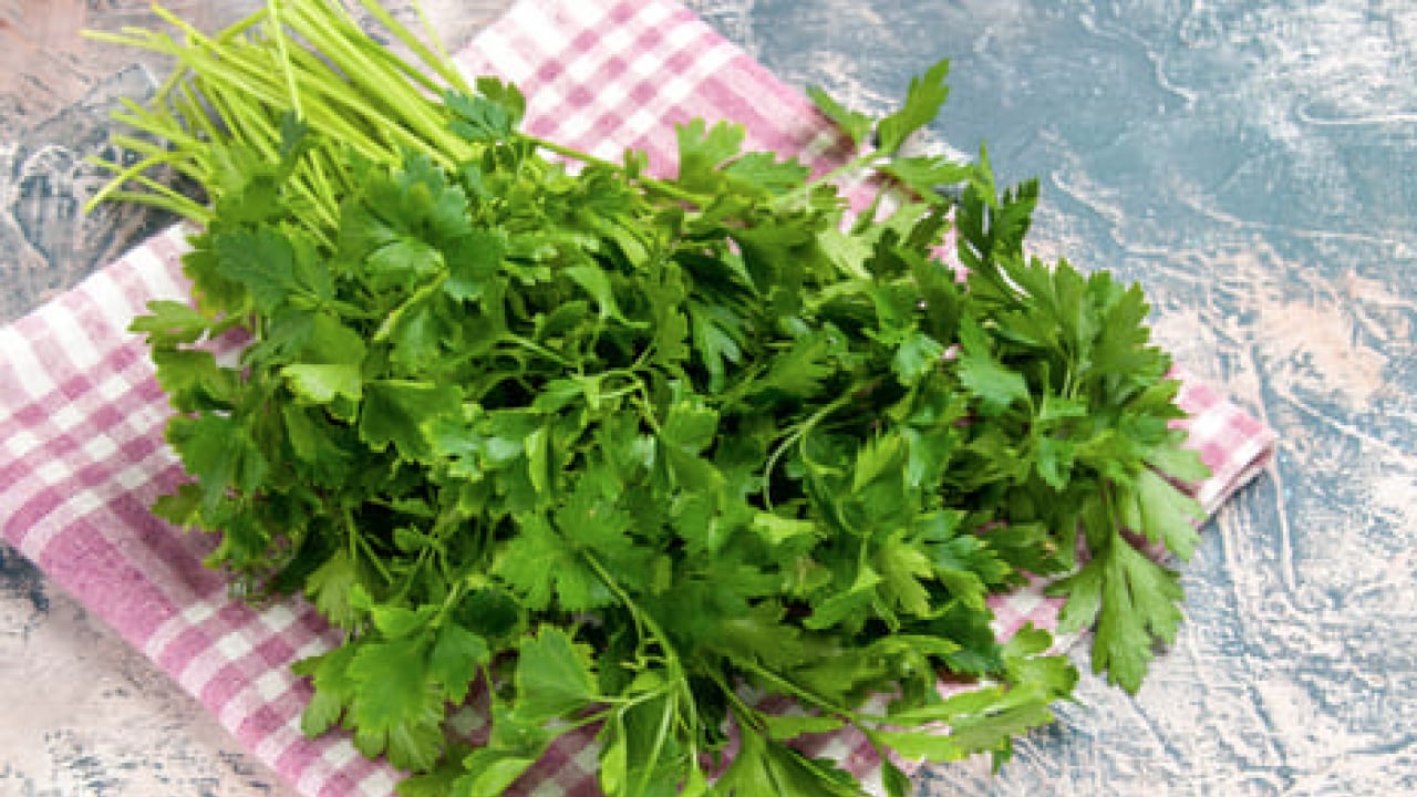 Foto - Şifa kaynağı: Her gün 1 avuç yiyin: Böbrek taşını kaydırıp atıyor...