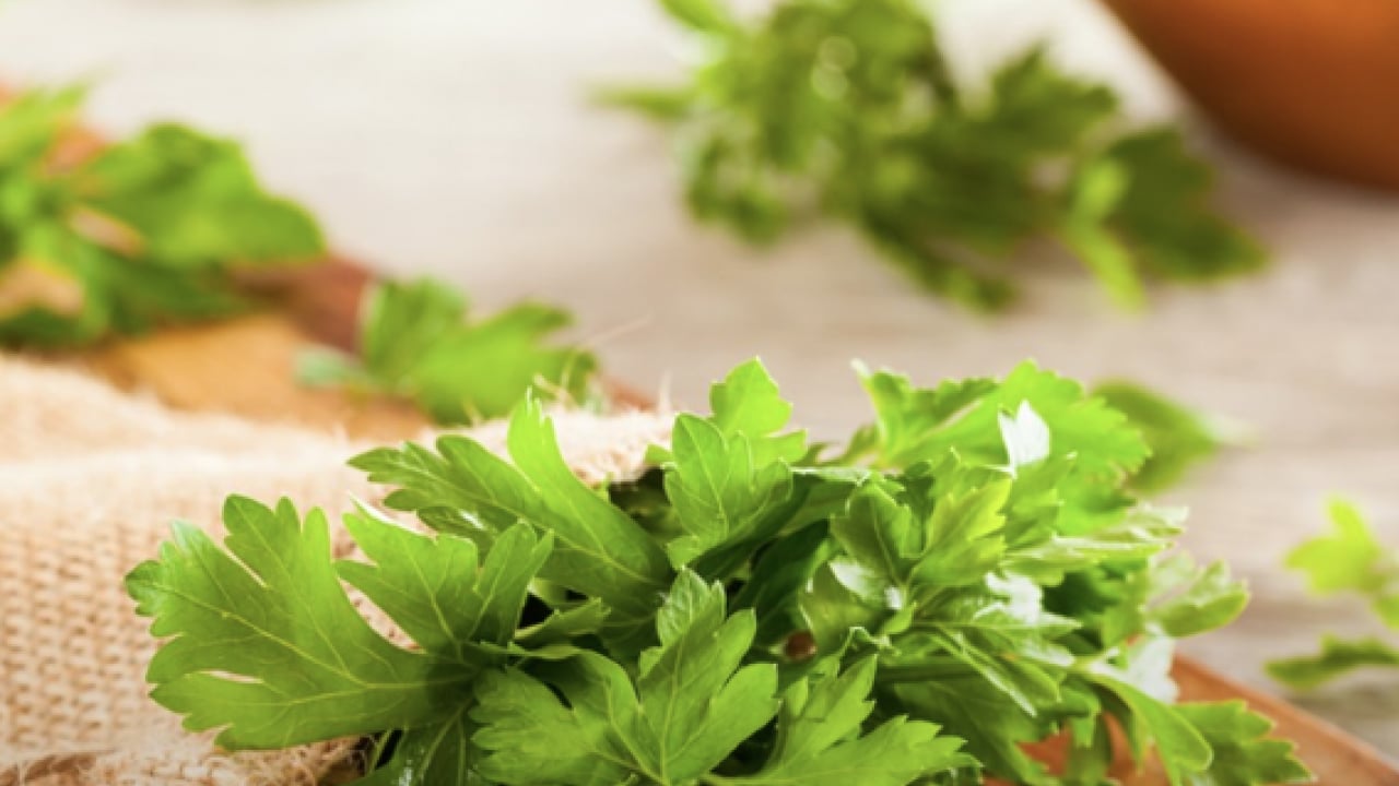 Foto - Şifa kaynağı: Her gün 1 avuç yiyin: Böbrek taşını kaydırıp atıyor...