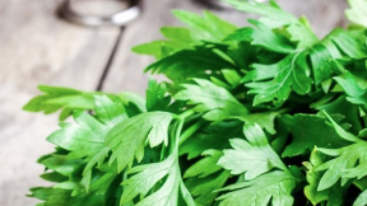 Foto - Şifa kaynağı: Her gün 1 avuç yiyin: Böbrek taşını kaydırıp atıyor...