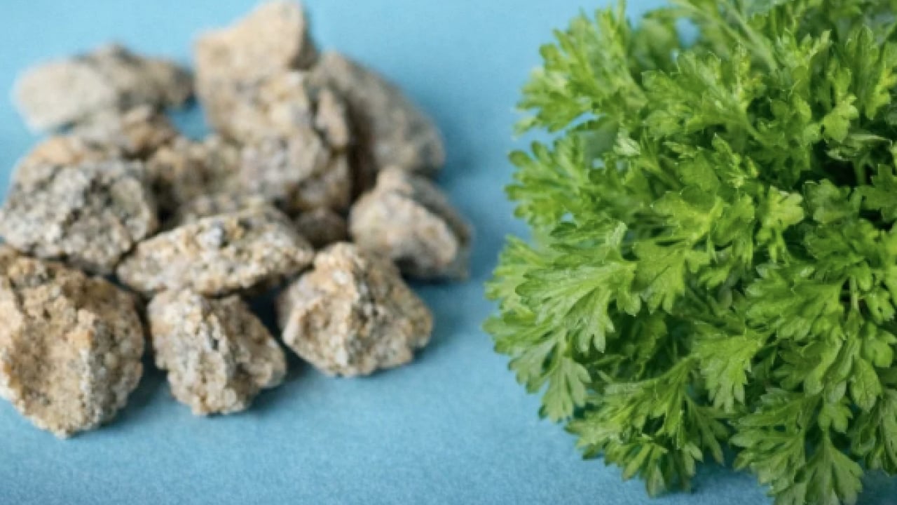 Foto - Şifa kaynağı: Her gün 1 avuç yiyin: Böbrek taşını kaydırıp atıyor...