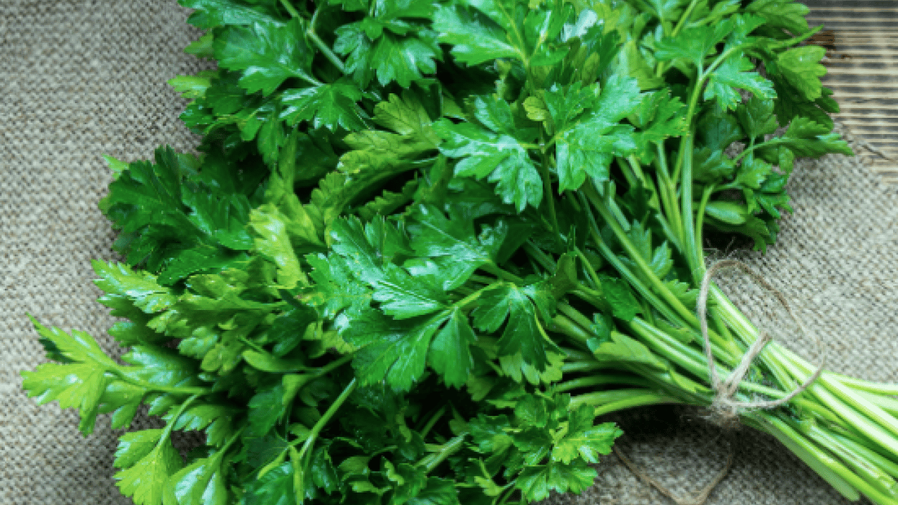 Foto - Şifa kaynağı: Her gün 1 avuç yiyin: Böbrek taşını kaydırıp atıyor...