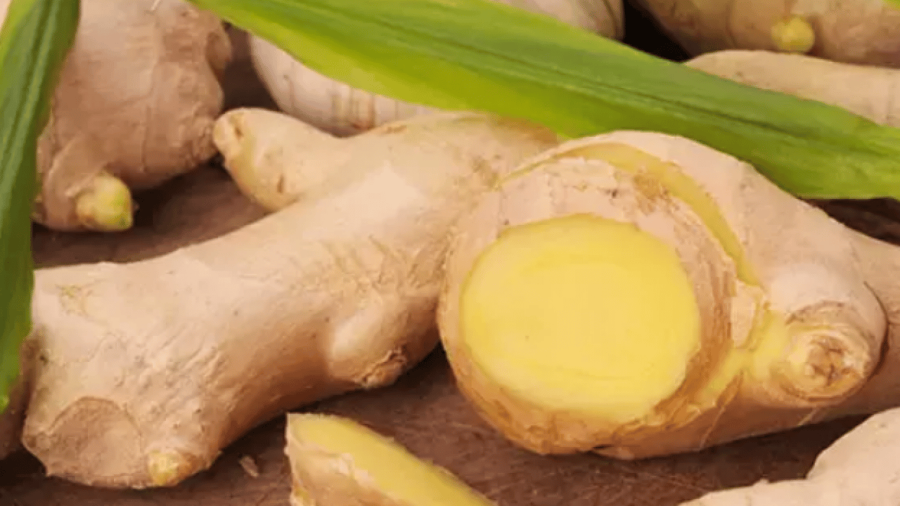 Foto - Kalp ve damar sağlığını destekleyici: Şifalarının dökümüne yer kalmıyor artık… 3 baharat anjiyoya gerek bıraktırmıyor