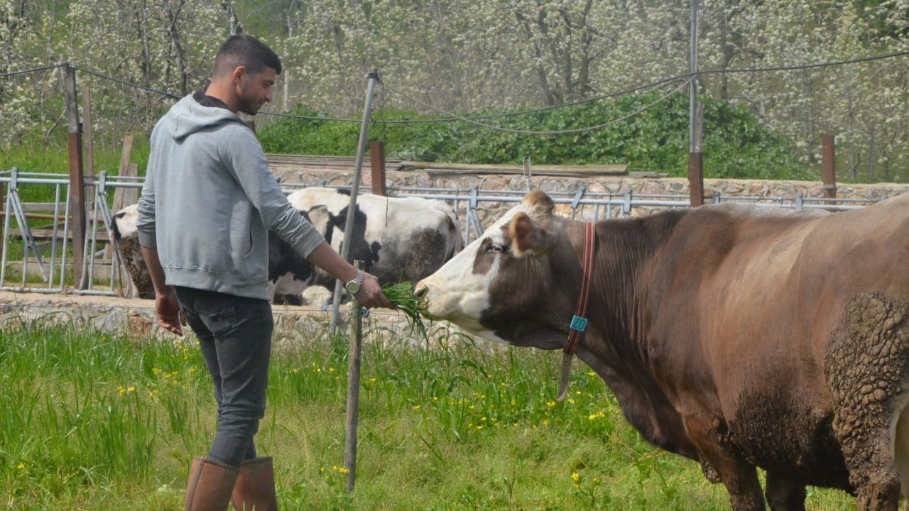Foto - Sigortacılığı bırakıp bu işe başladı... Şimdi paraya para demiyor!