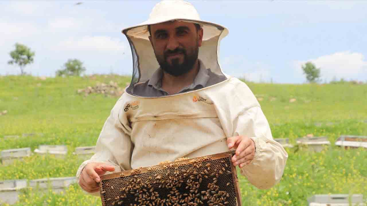 Foto - Siirt balda İlk 5'te: Destek geldi, bal arttı