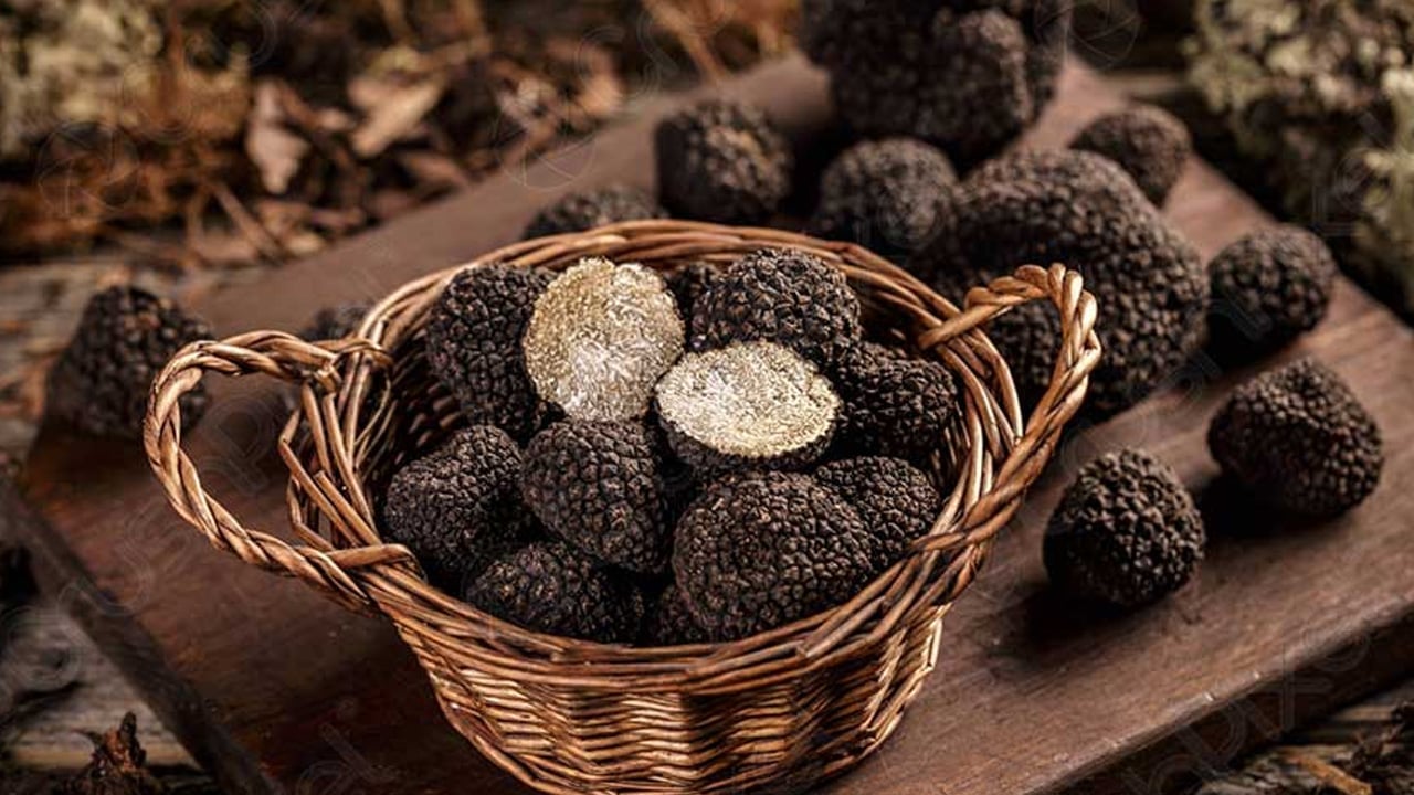 Foto - Şimdi tam zamanı! Türkiye'nin siyah elması: Herkes peşinde, protein deposu... Herkes bunu yapsın