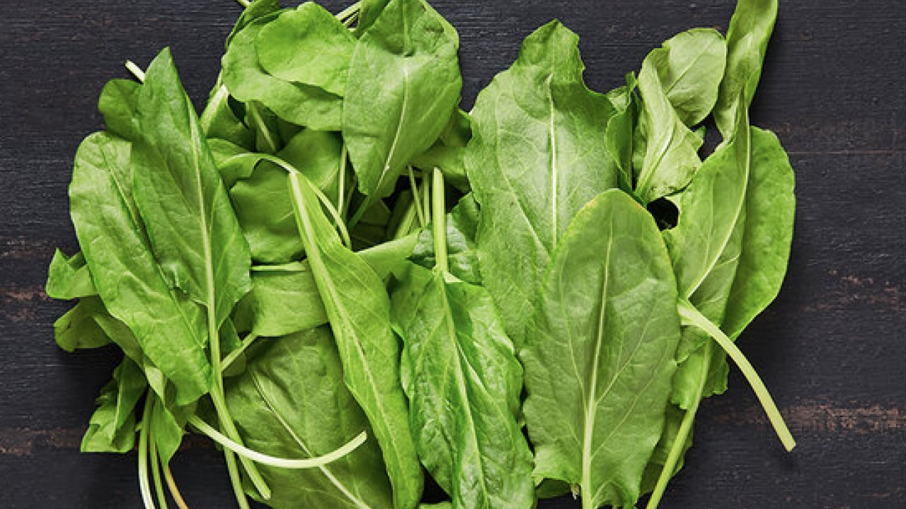 Foto - Şimdi yeni moda bu: Portakaldan fazla C vitamini var: Ekşimsi şifa kaynağı