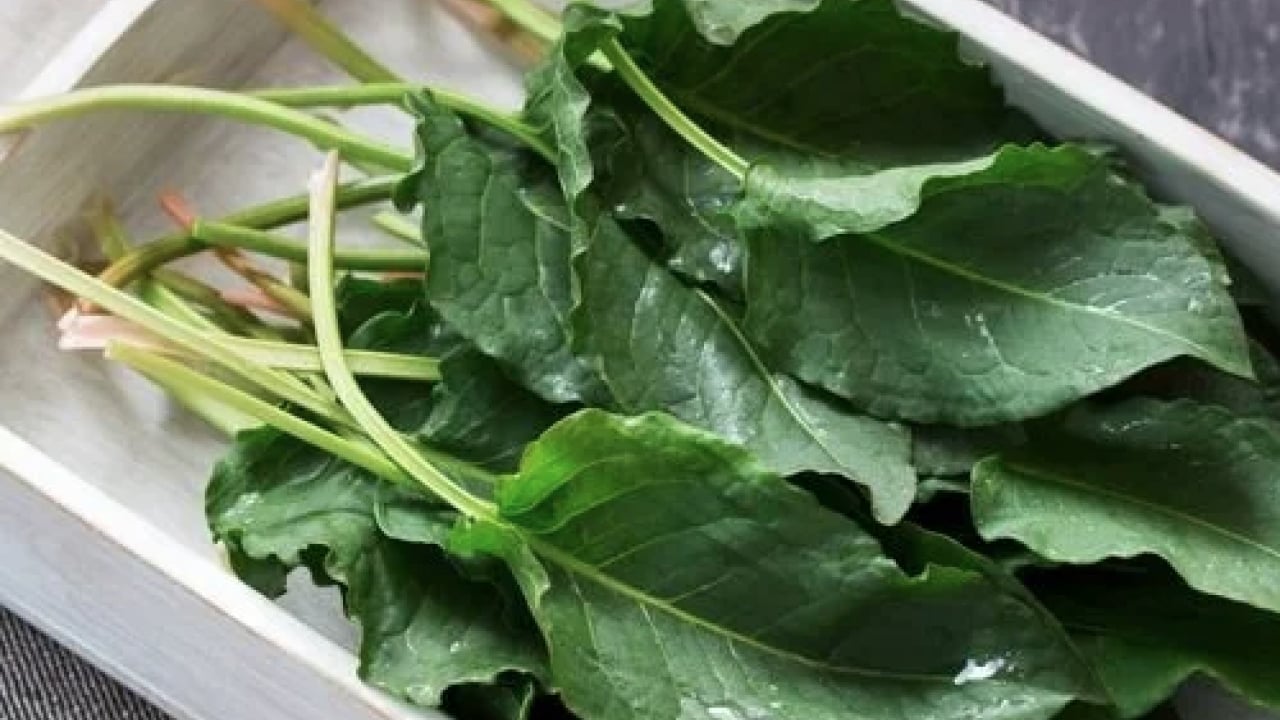 Şimdi yeni moda bu: Portakaldan fazla C vitamini var: Ekşimsi şifa kaynağı
