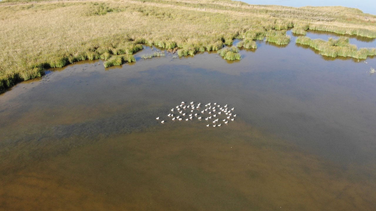 Foto - Şimdi yürüyerek geçiliyor! Bir zamanlar kuş cennetiydi… 