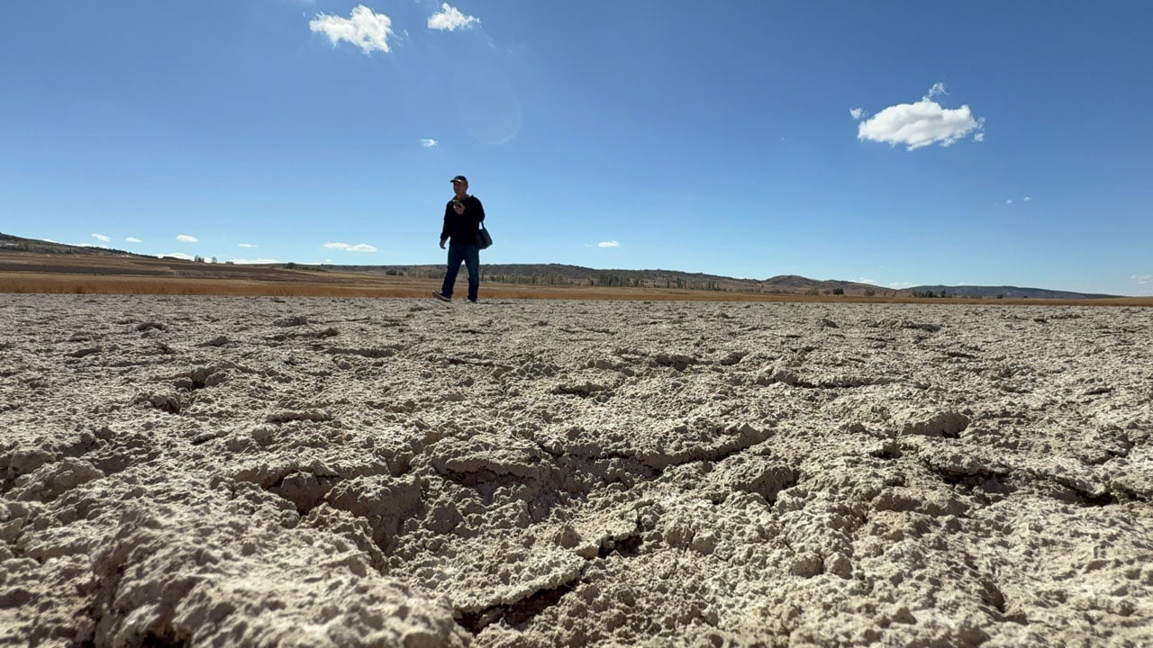 Şimdi yürüyerek geçiliyor! Bir zamanlar kuş cennetiydi… 