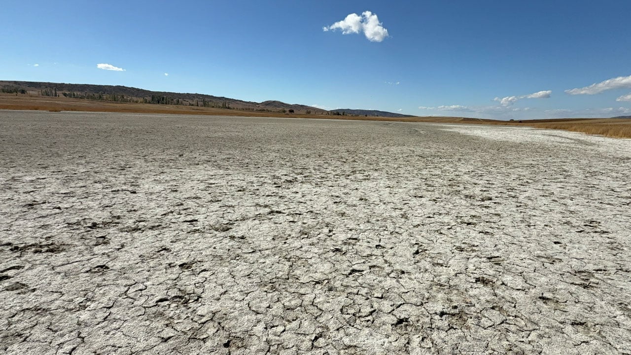 Foto - Şimdi yürüyerek geçiliyor! Bir zamanlar kuş cennetiydi… 