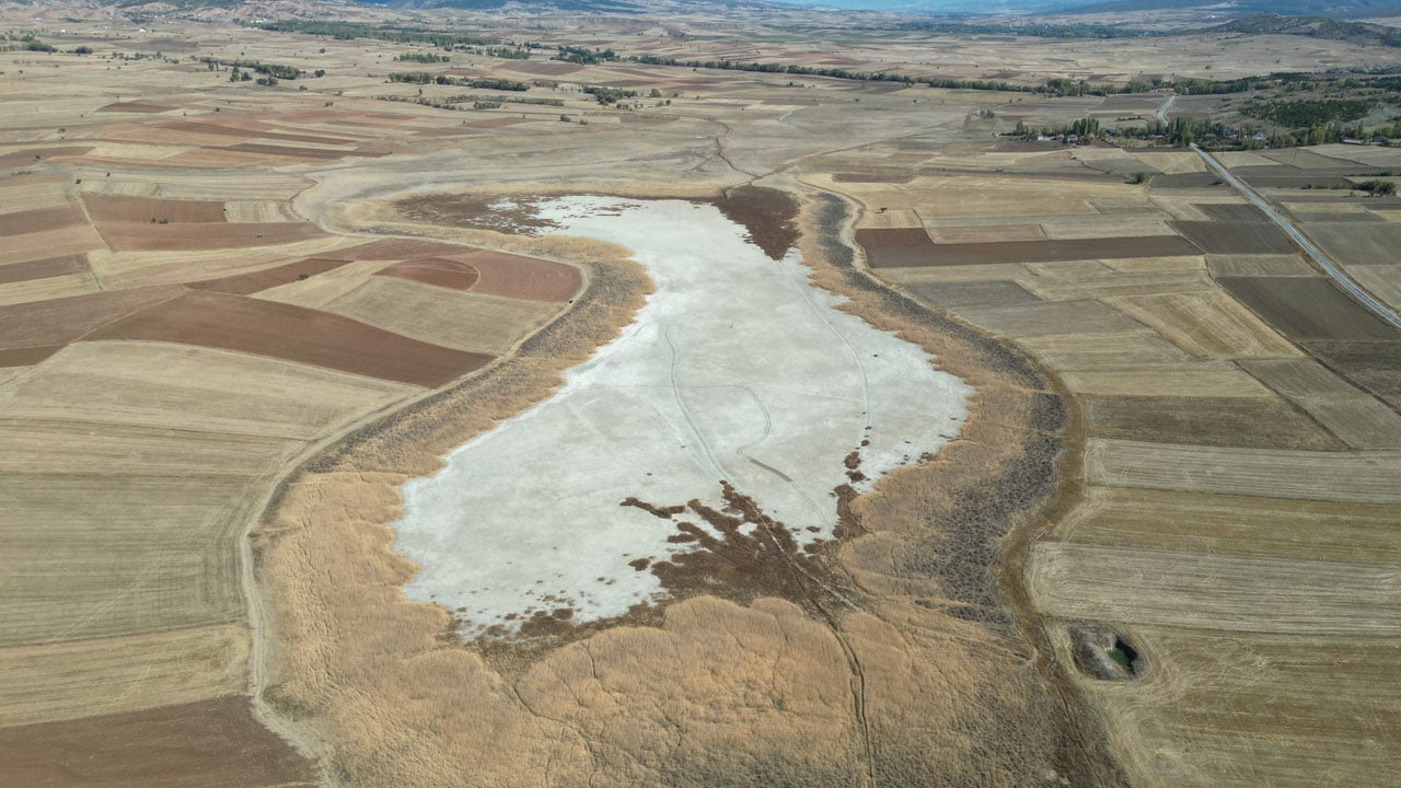 Foto - Şimdi yürüyerek geçiliyor! Bir zamanlar kuş cennetiydi… 