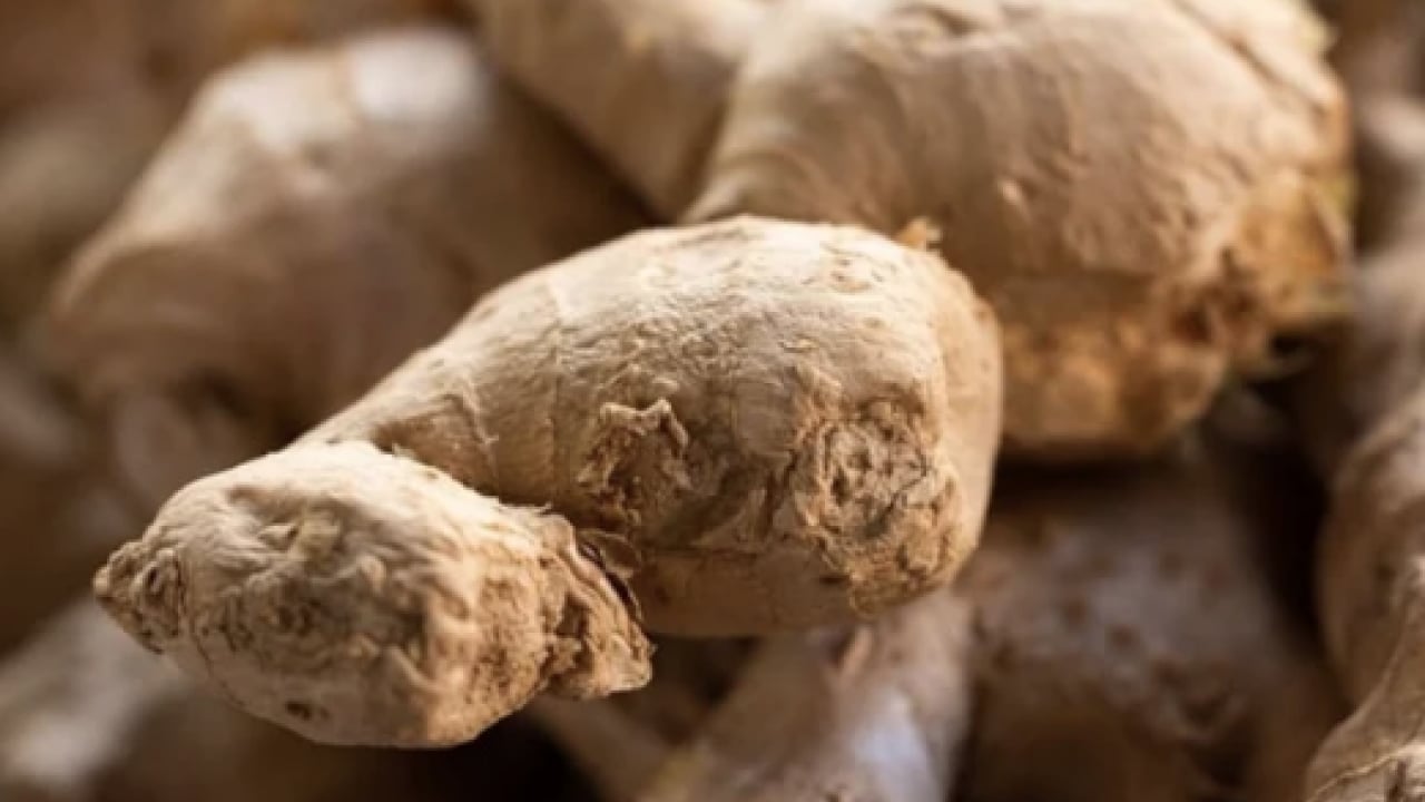 Foto - Sindirim ve hazımsızlık: Ramazan'da metabolizmayı hızlandıran 7 baharat