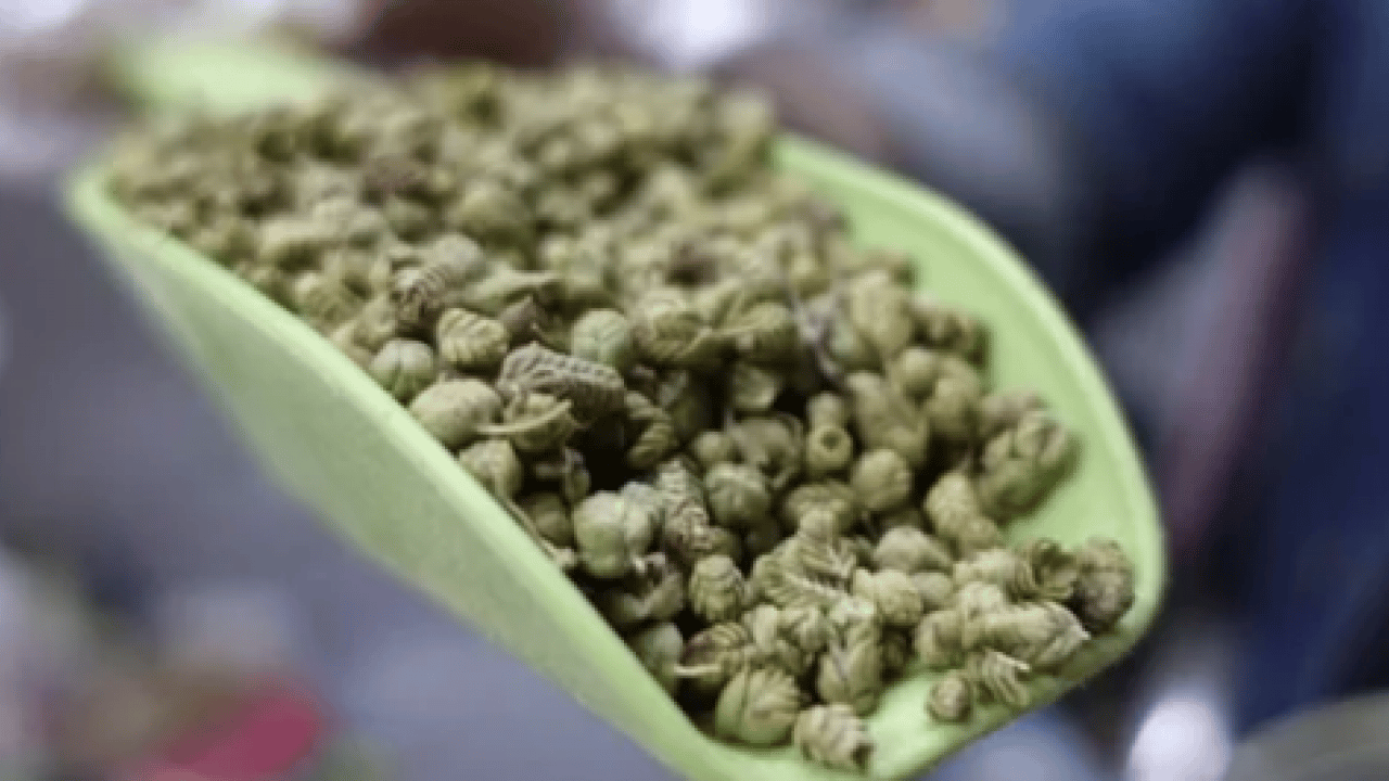 Foto - Sindirim ve hazımsızlık: Ramazan'da metabolizmayı hızlandıran 7 baharat