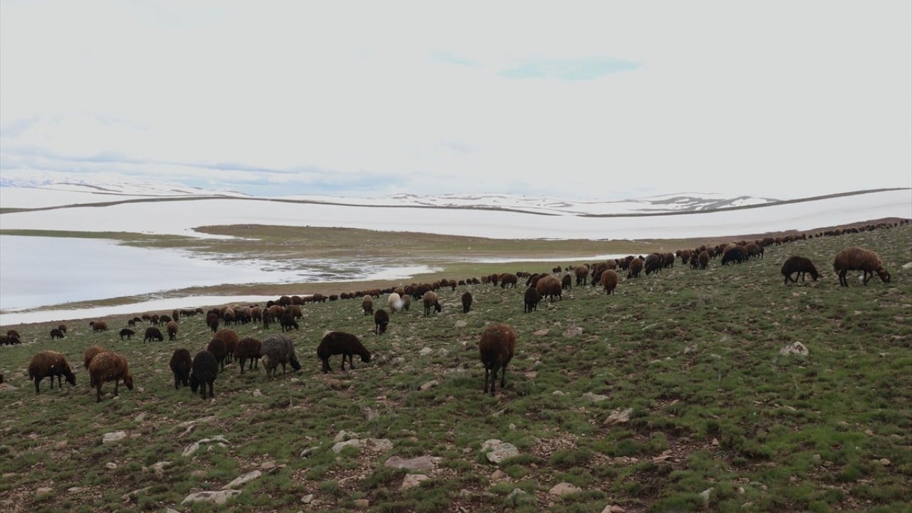 Foto - Sinek Yaylası'nda iki mevsim bir arada
