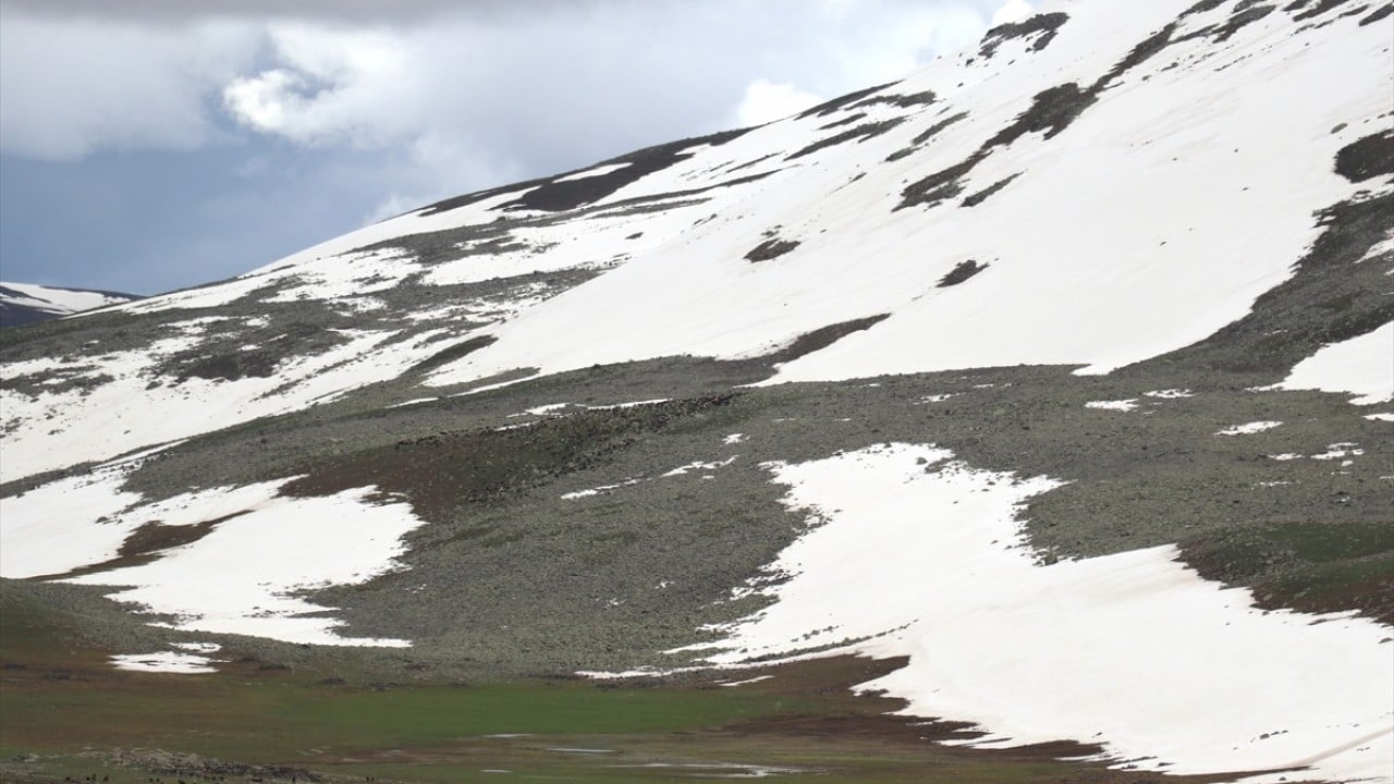 Foto - Sinek Yaylası'nda iki mevsim bir arada