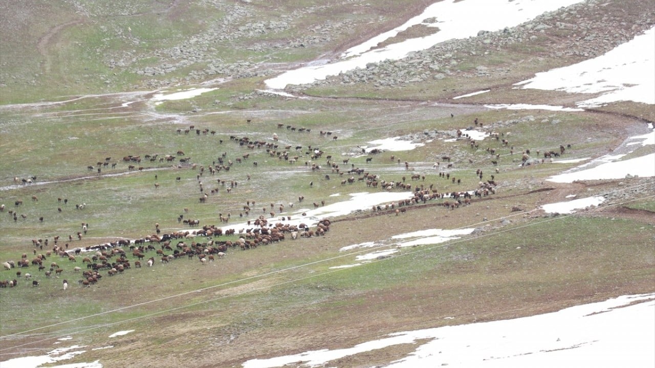 Foto - Sinek Yaylası'nda iki mevsim bir arada