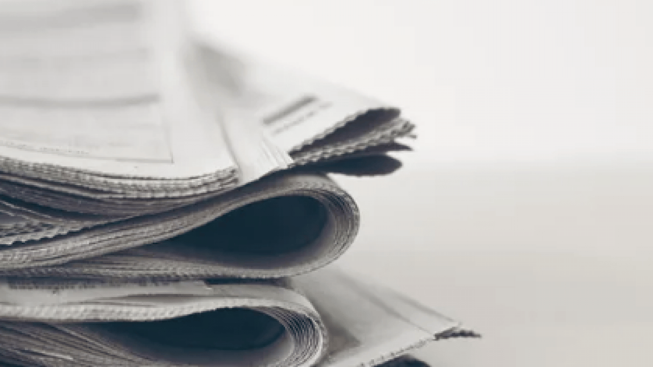 Foto - Sineklerin en korktuğu mutfak malzemesi! Çöp kutusuna serpin, rahat edin... 