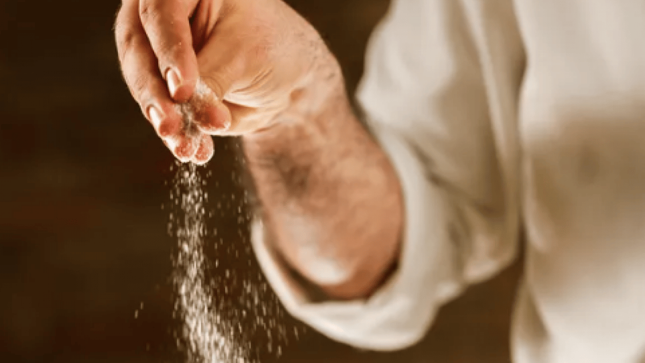 Foto - Sineklerin en korktuğu mutfak malzemesi! Çöp kutusuna serpin, rahat edin... 