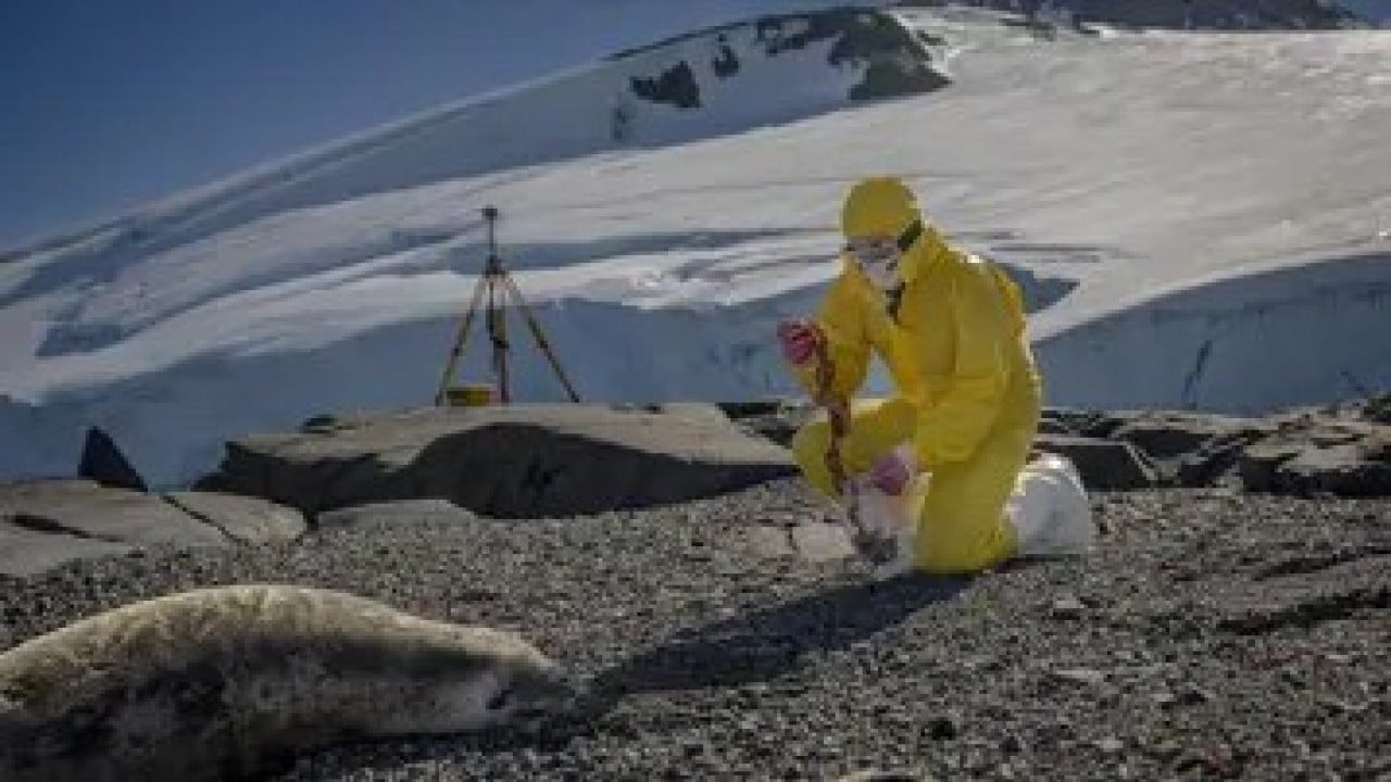 Foto - Sınırsız enerjiye kapı aralayacak keşif! Herkesi heyecan bastı
