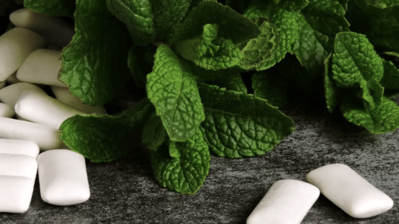 Foto - Akılalmaz bir tehlike! Vücudunuzu altüst edecek hamleyi yapacak mısınız? Sakız çiğnemek...