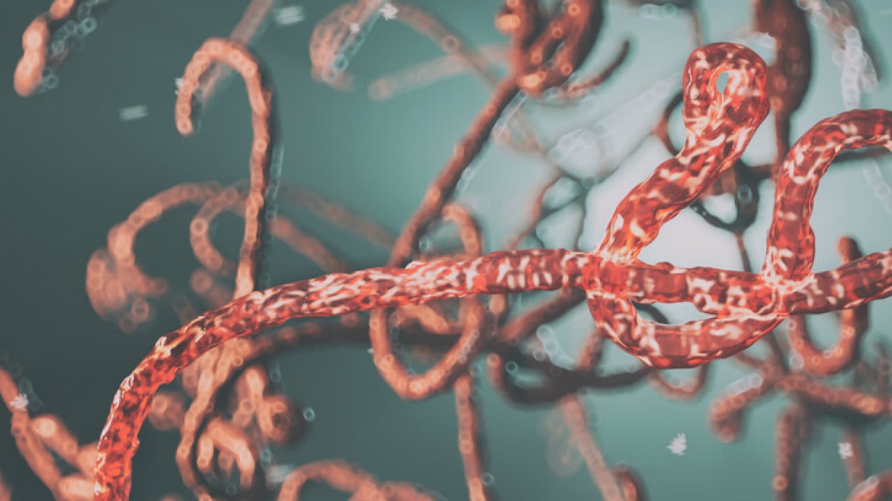 Foto - Sinsi tehlikeye dikkat: Bağırsak kurtları çocuğunuz için tehlike arz ediyor...