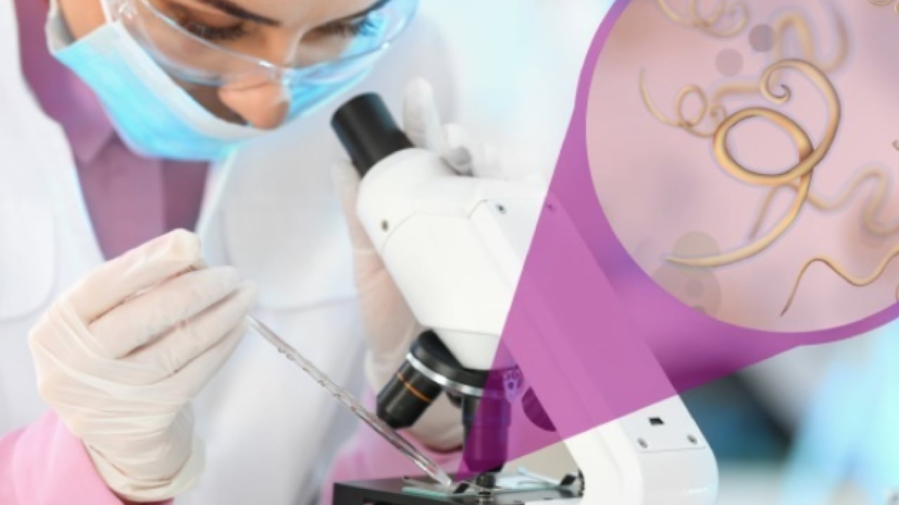 Foto - Sinsi tehlikeye dikkat: Bağırsak kurtları çocuğunuz için tehlike arz ediyor...