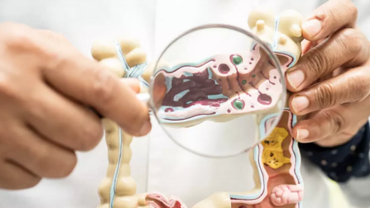 Foto - Sinsi tehlikeye dikkat: Bağırsak kurtları çocuğunuz için tehlike arz ediyor...