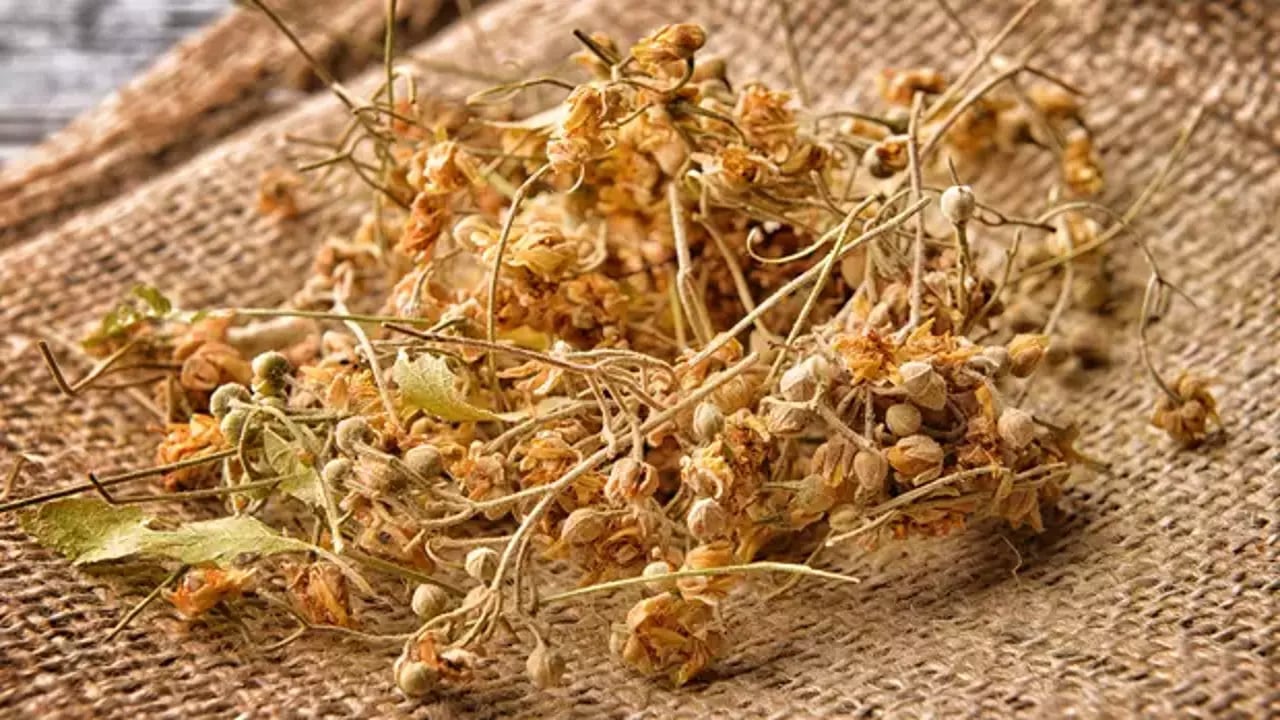 Foto - Şıp diye kesiyor! Kuru öksürüğü yok ediyor! 40 yıllık aktarlar anlatıyor! Ihlamur neye iyi gelir?