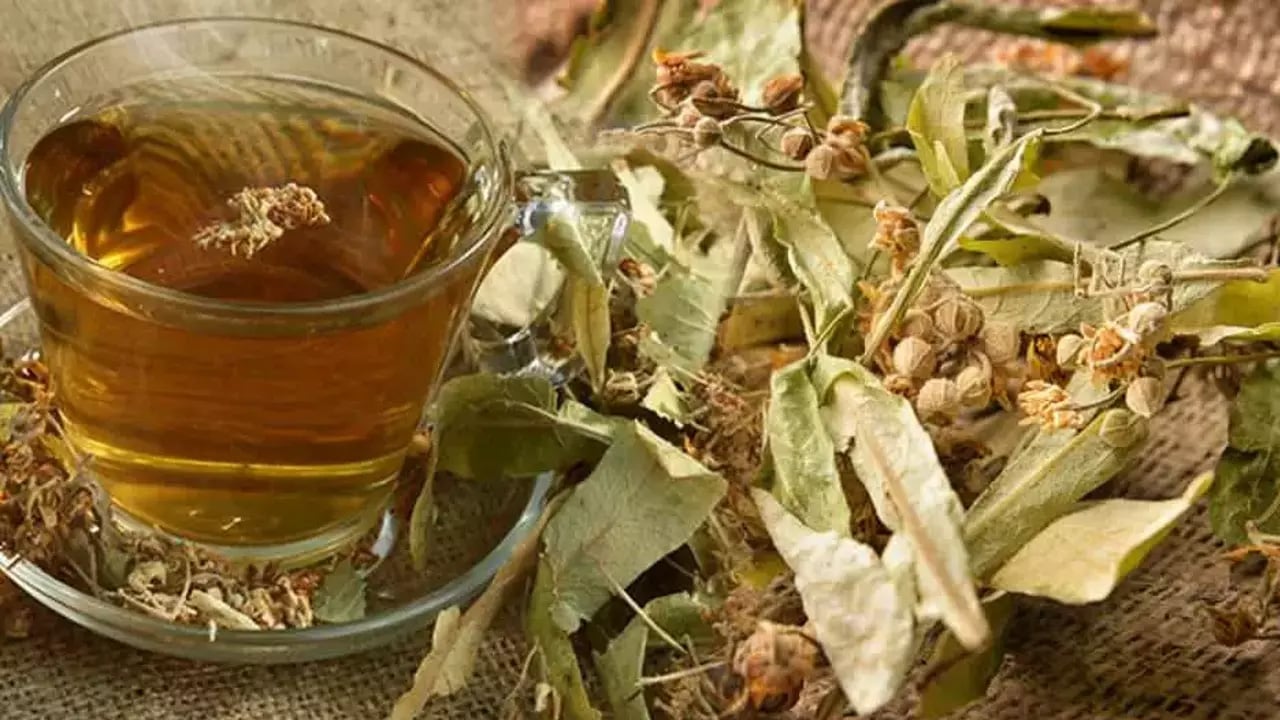 Foto - Şıp diye kesiyor! Kuru öksürüğü yok ediyor! 40 yıllık aktarlar anlatıyor! Ihlamur neye iyi gelir?