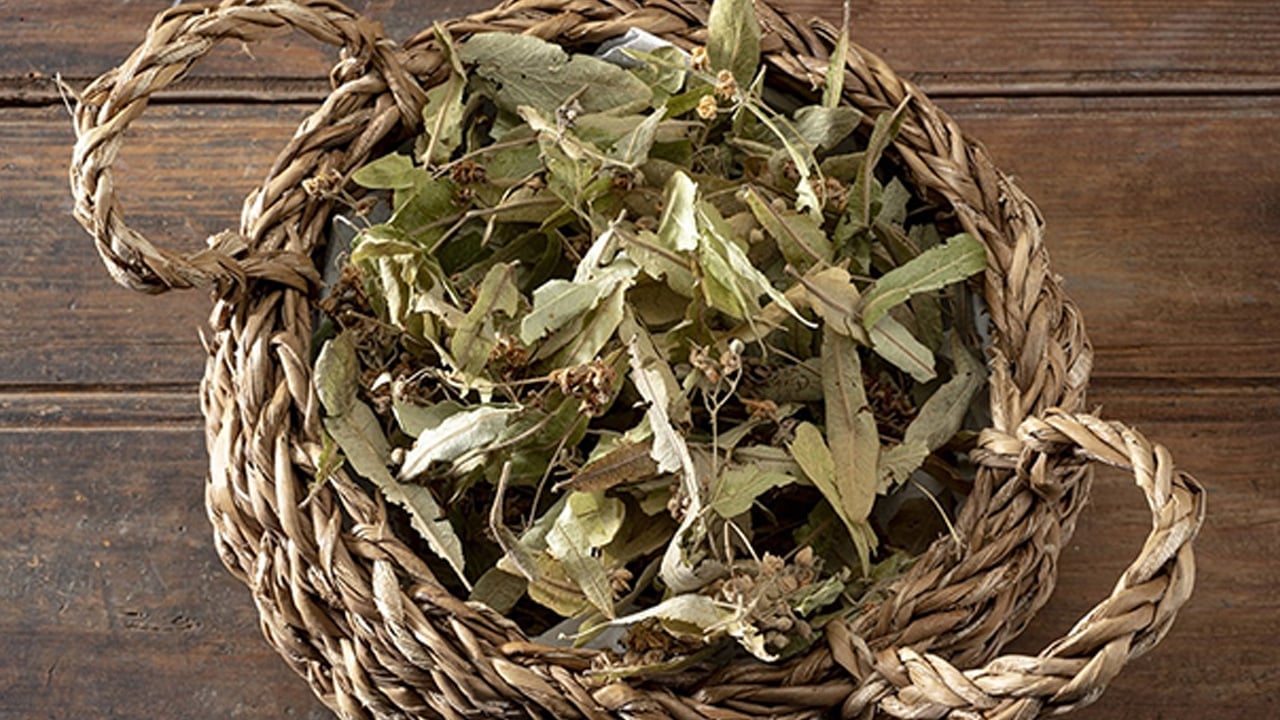 Foto - Şıp diye kesiyor! Kuru öksürüğü yok ediyor! 40 yıllık aktarlar anlatıyor! Ihlamur neye iyi gelir?