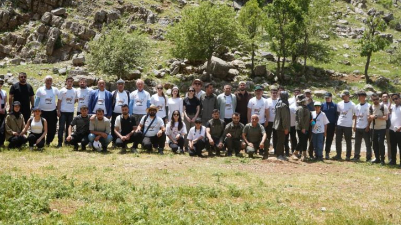 Foto - Şırnak'ın dağları ters lalelerle renklendi