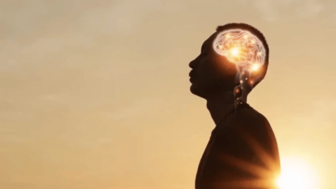 Sırrı çözüldü: Harvard’ın unutulan 80 yıllık çalışması: Sizi hayatta tutan 'görünmez vitamin' nedir?