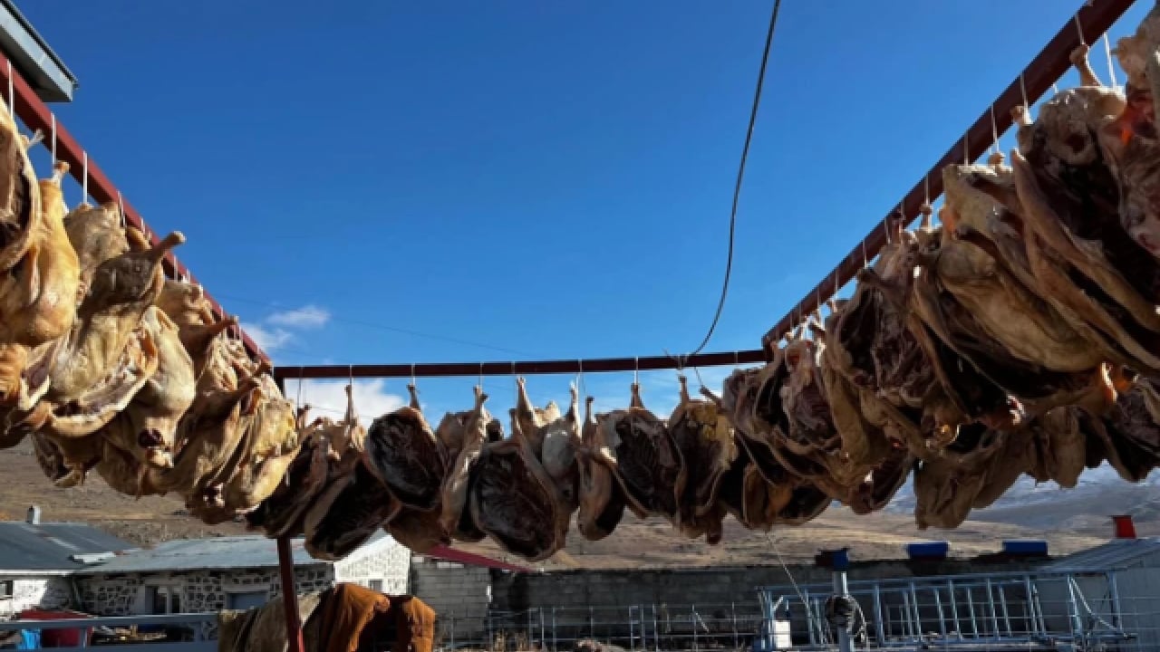 Foto - Sırrı gece ayazından geliyor! Kars kazının lezzet yolculuğu başladı