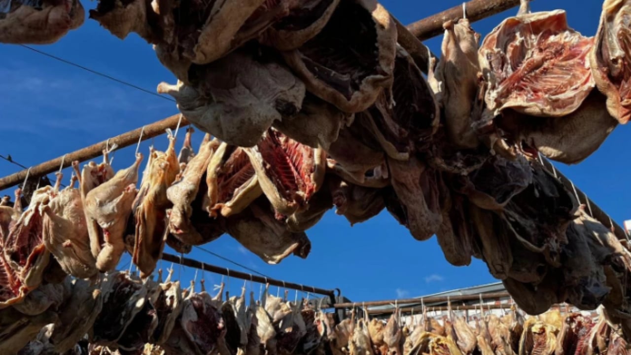 Foto - Sırrı gece ayazından geliyor! Kars kazının lezzet yolculuğu başladı