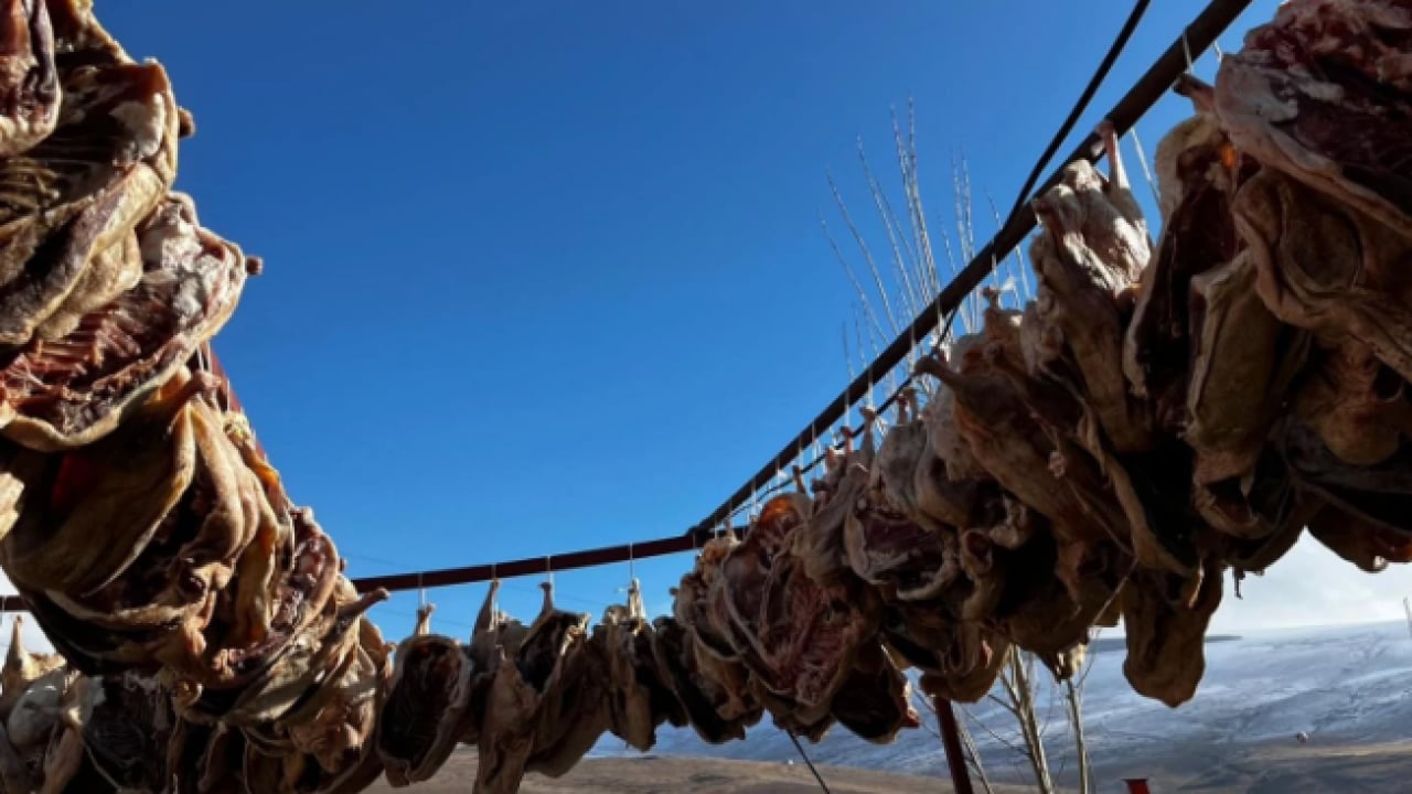 Foto - Sırrı gece ayazından geliyor! Kars kazının lezzet yolculuğu başladı