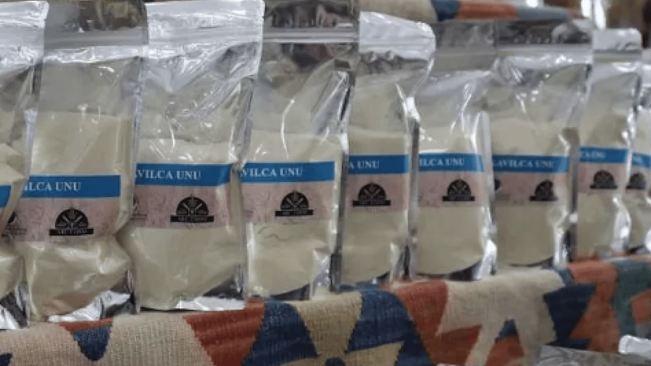 Foto - Sırrı saklı kadim tohum! Tam bir şifa: Glüteni düşük, değeri yüksek o ürün Türkiye'de masaya yatırıldı