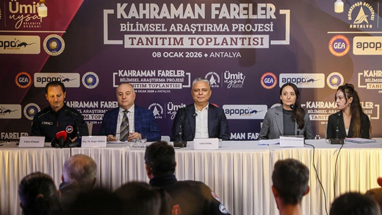 Foto - Sırt çantalı kahraman fareler iş başında