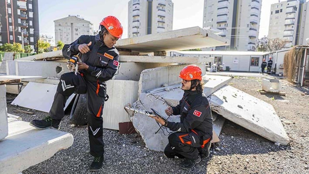Foto - Sırt çantalı kahraman fareler iş başında