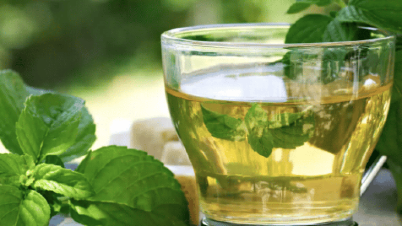 Foto - Hiç bitmesin dedirtiyor! Şişkinliğe son: Uzmanların önerdiği her derde deva içecek bakın neymiş