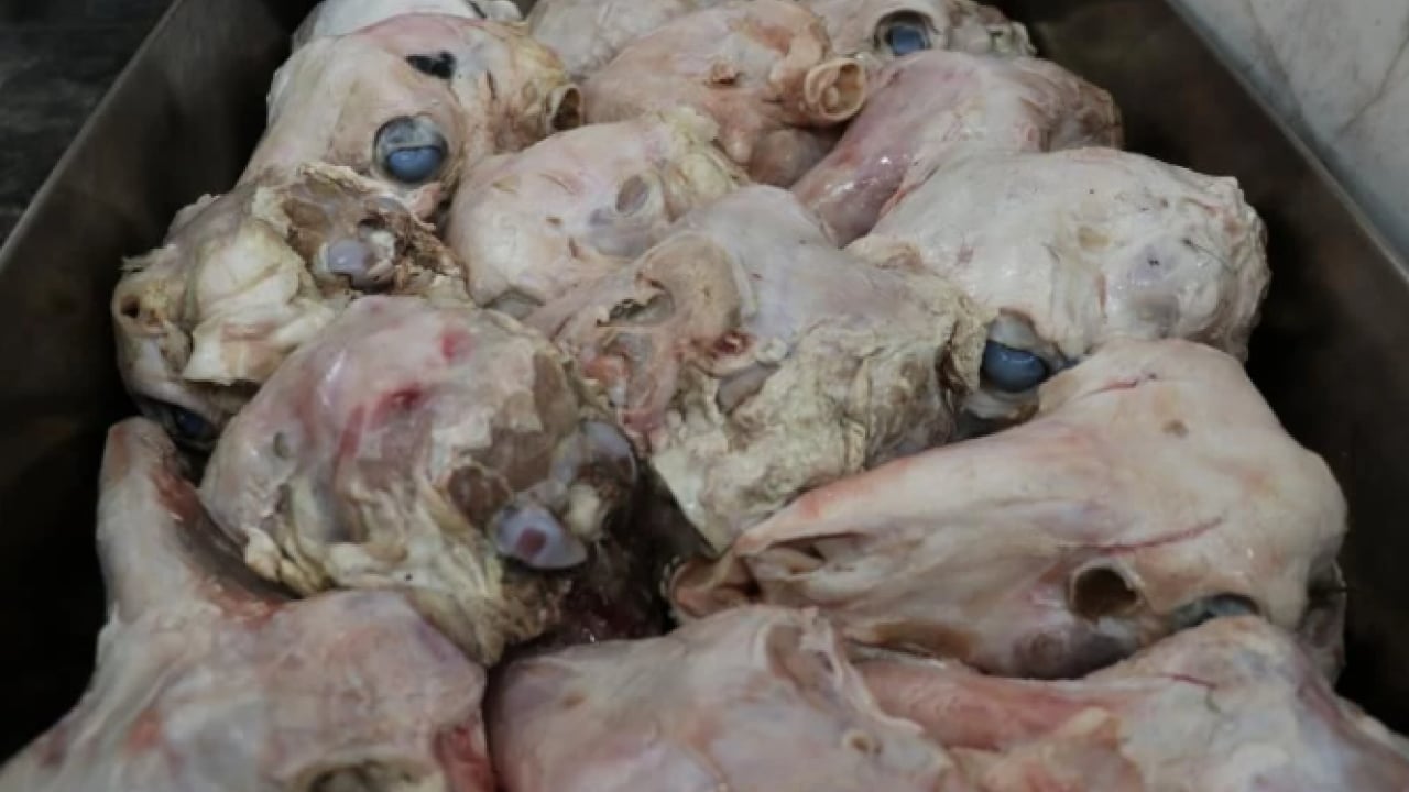 Foto - Sivas’ta farklı kahvaltı kültürü! Görüntüsü korkutuyor lezzeti bağımlılık yapıyor