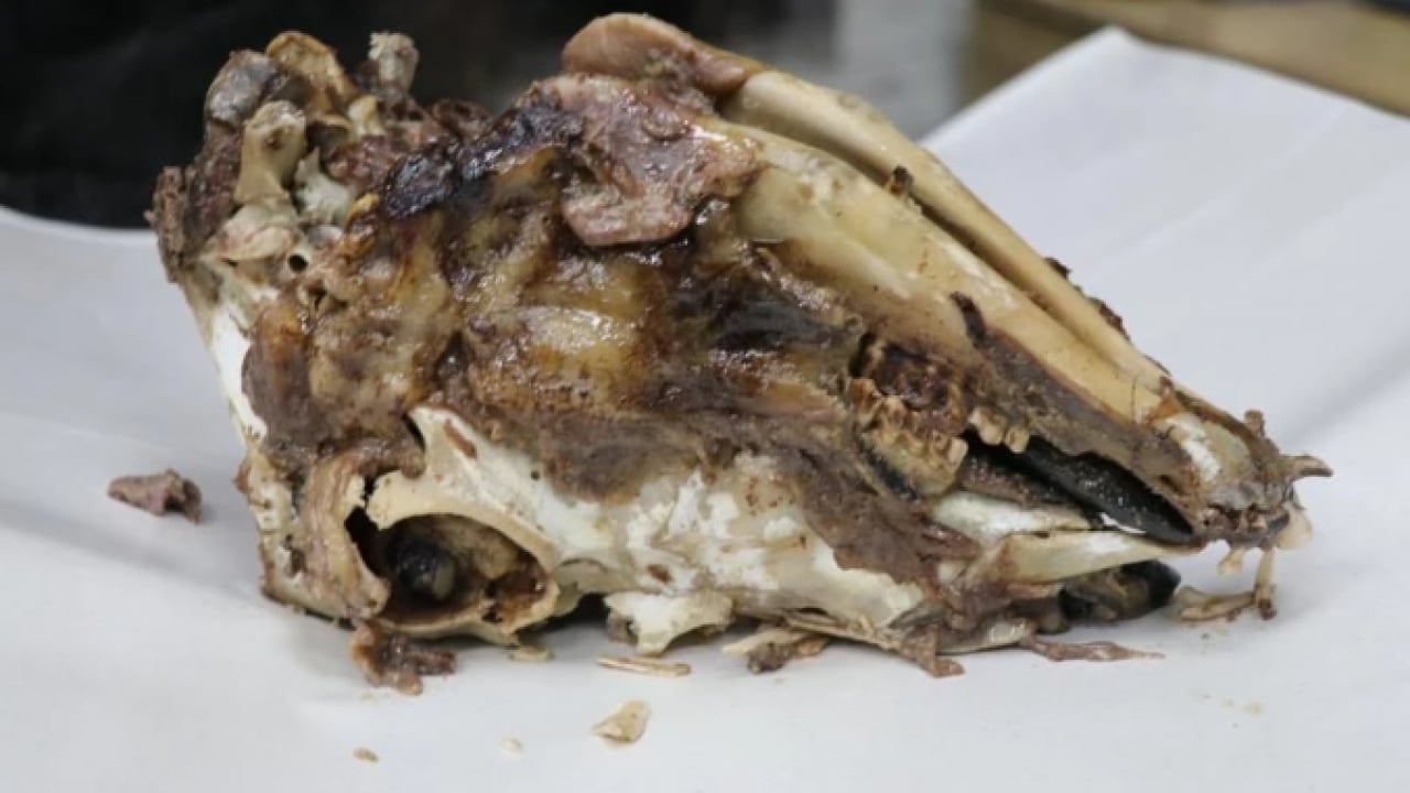 Foto - Sivas’ta farklı kahvaltı kültürü! Görüntüsü korkutuyor lezzeti bağımlılık yapıyor