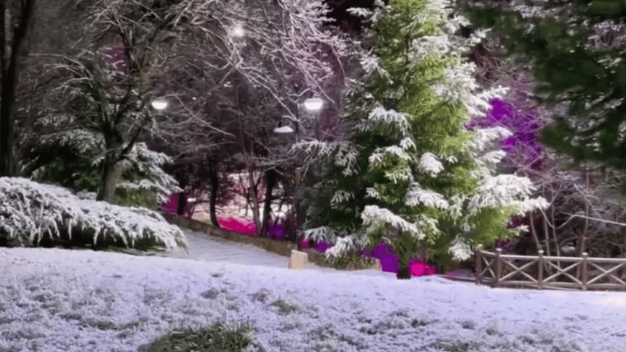 Foto - Sivas’ta kar şöleni! Manzaralar mest etti